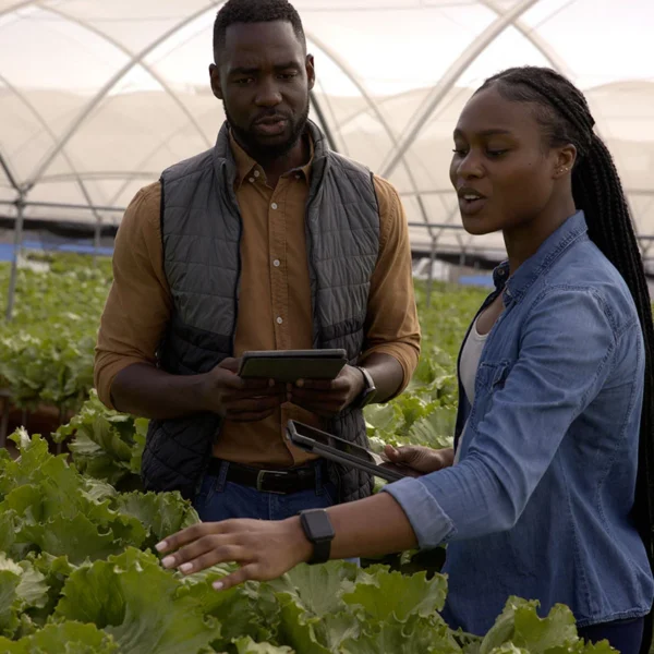 Course: Circular Economy and Sustainable Management